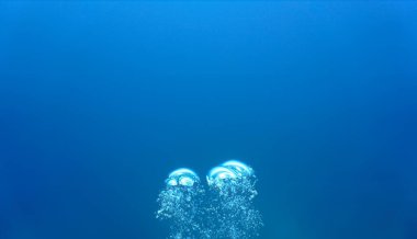 Lüks iç dizaynınız için su altı sanatı evinizde ya da ofisinizde. Mavi arka planı olan hava kabarcıkları. Denizde bir dalıştan.