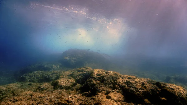Underwater Photo Beautiful Landscape Rays Light Scuba Dive Canary Islands — Stock fotografie