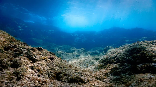 Underwater Photo Beautiful Landscape Rays Light Scuba Dive Canary Islands — Stockfoto