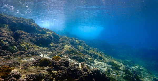 Underwater Photo Beautiful Landscape Rays Light Scuba Dive Canary Islands — стоковое фото