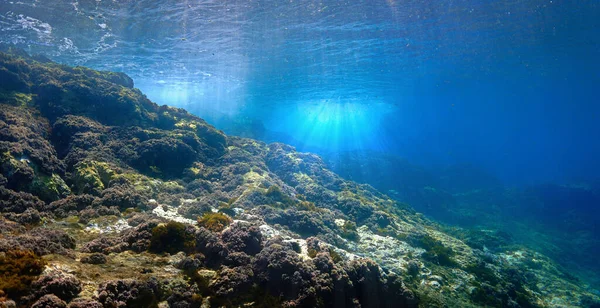 Underwater Photo Beautiful Landscape Rays Light Scuba Dive Canary Islands — Fotografia de Stock