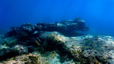 Şekiller ve ilginç lav kayaları yaratan doğanın mucizesinin sualtı fotoğrafı. Kanarya adalarındaki tüplü dalıştan. Volkan adaları 