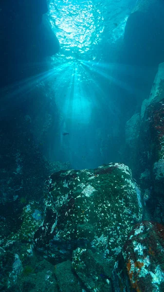 Underwater Photo Rays Light Alley Scuba Dive Canary Islands Atlantic — Zdjęcie stockowe