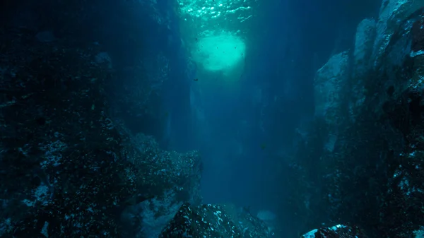 Underwater Photo Rays Light Alley Scuba Dive Canary Islands Atlantic — Stock Fotó