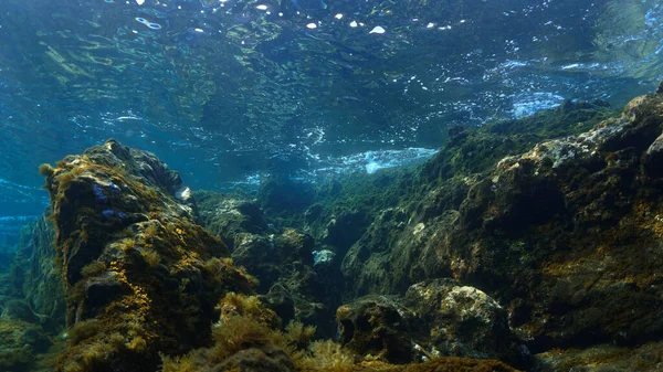 Podwodna Fotografia Krajobrazu Jak Bajki Krajobrazu Promieniach Światła — Zdjęcie stockowe