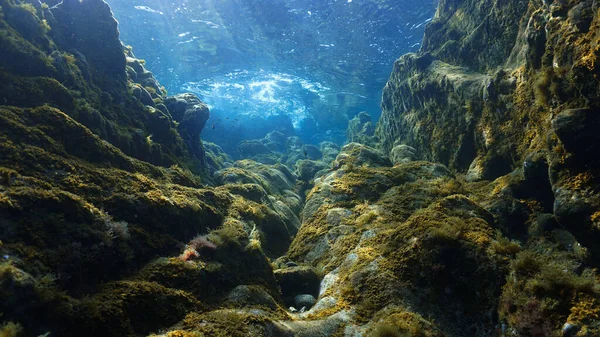 Unterwasseraufnahmen Von Landschaft Wie Ein Märchen Und Landschaft Lichtstrahlen — Stockfoto