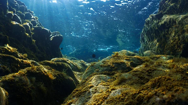 Unterwasseraufnahmen Von Landschaft Wie Ein Märchen Und Landschaft Lichtstrahlen — Stockfoto
