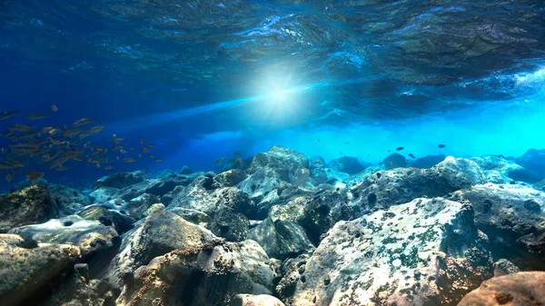 Unterwasserfoto Von Kristallklarem Blauem Riff Mit Fischen Vom Tauchgang Auf — Stockfoto