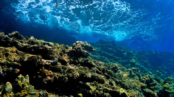 Podwodna Sztuka Promieni Światła Nad Rafą Koralową — Zdjęcie stockowe