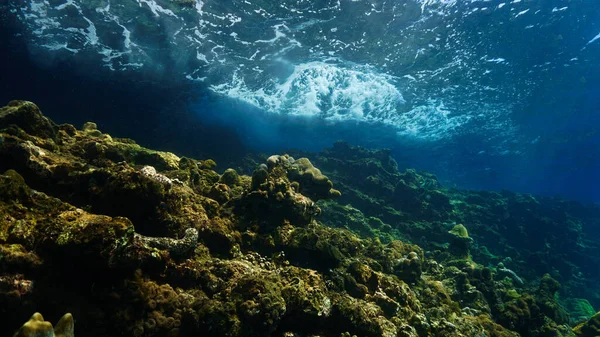 Arte Submarino Rayos Luz Sobre Arrecife Coral — Foto de Stock