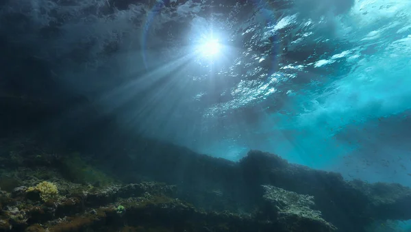 Onderwaterfoto Van Een Prachtig Landschap Golven Van Onderen Lichtstralen Van — Stockfoto