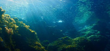 Arazinin sualtı fotoğrafçılığı ve ışık huzmeleri.