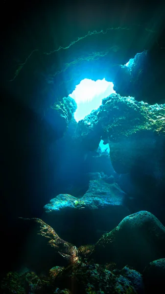 Undervattensfoto Magiskt Solljus Grotta — Stockfoto