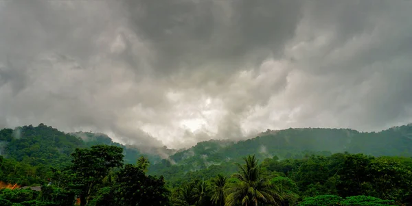 Tájkép Tájkép Felhőkről Esőerdő Dzsungel Felett — Stock Fotó