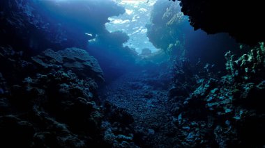 Underwater photo from a scuba dive in a cave with rays of light