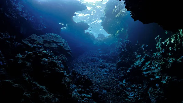 Unterwasserfoto Von Einem Tauchgang Einer Höhle Mit Lichtstrahlen — Stockfoto