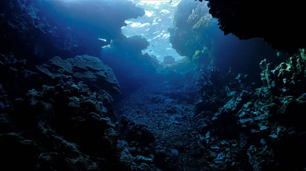 Underwater Photo Scuba Dive Cave Rays Light — Φωτογραφία Αρχείου