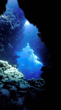 Underwater photo from a scuba dive inside caves and tunnels with rays of light. Beautiful scenery with sunlight and beams underwater in the Red sea in Egypt.