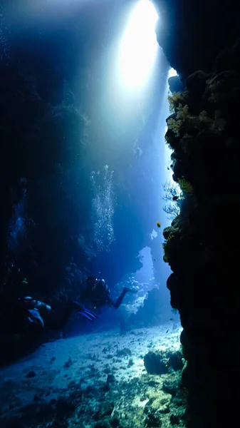 Underwater photo from a scuba dive inside caves and tunnels with rays of light. Beautiful scenery with sunlight and beams underwater in the Red sea in Egypt.