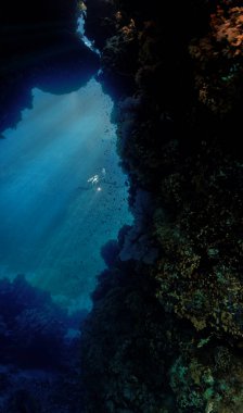 Underwater photo from a scuba dive inside caves and tunnels with rays of light. Beautiful underwater scenery and landscape with sunlight.