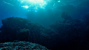 Rays of sunlight over a coral reef