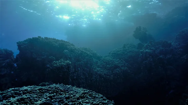 Rays Sunlight Coral Reef — Stock Fotó