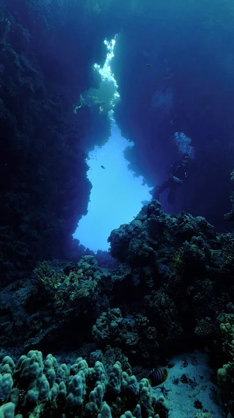 Underwater Photo Scuba Diver Beautiful Light Cave — Stock Fotó