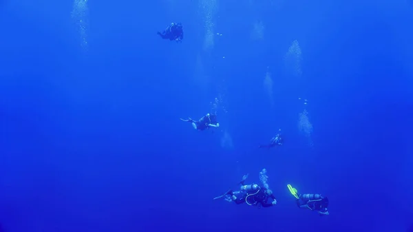 Podwodne Zdjęcie Nurków Szukających Rekinów Młotkowatych Nurkowania Morzu Czerwonym Egipcie — Zdjęcie stockowe