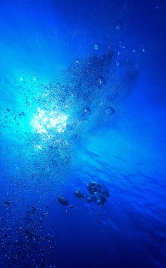 Hava kabarcıkları güneş ışınlarıyla yüzeye çıkıyor. Su altı fotoğraf sanatı.