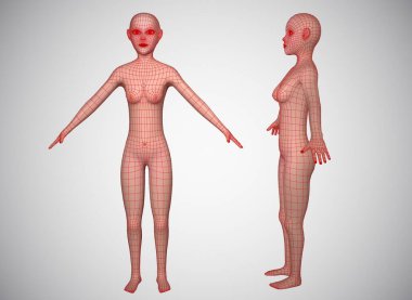 Beyaz arkaplandaki stilize kadın karakteri 3D canlandırma.