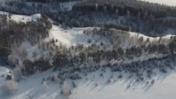 Disparo de um zangão em florestas de inverno e campos — Vídeo de Stock