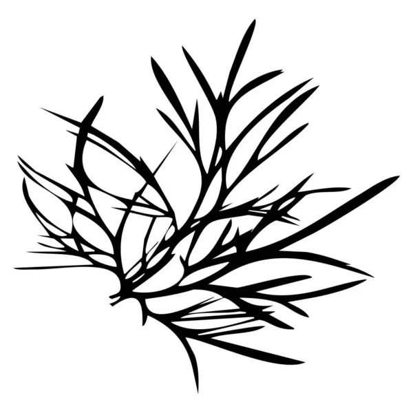 Botanik Vektör Çizimi Beyaz Arkaplanda Siyah Yapraklar — Stok Vektör