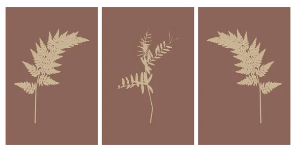 Verzameling Van Botanische Posters Hedendaagse Kunst Kaart Patroon Voor Print — Stockvector