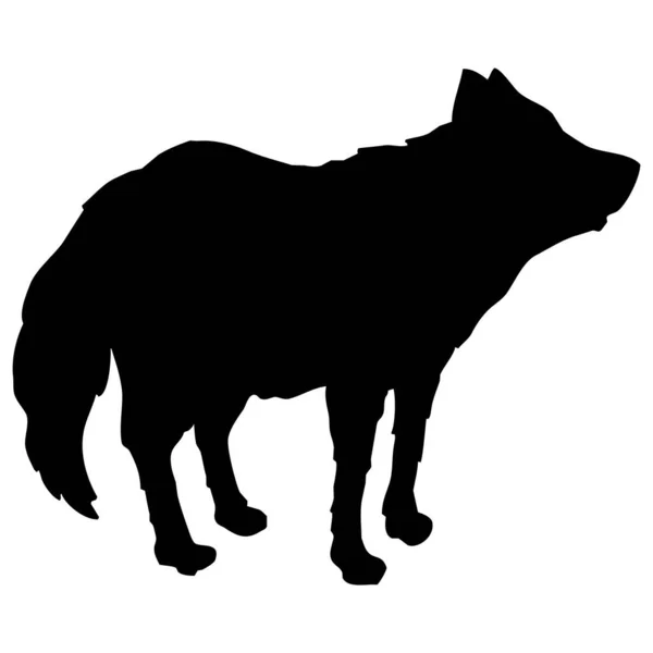 Εικονογράφηση Διανυσματικών Ζώων Μαύρος Λύκος Λευκό Φόντο — Διανυσματικό Αρχείο