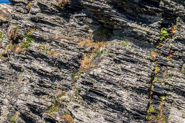 ボストン城コーンウォール イングランド 岩の眺め — ストック写真