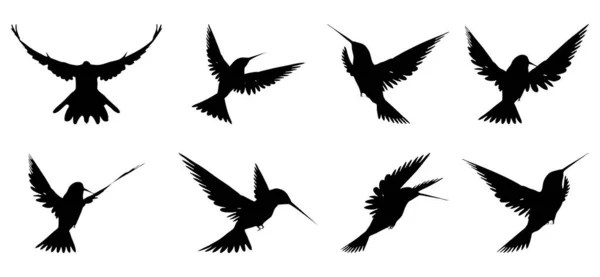 Een Stel Vogels Vector Illustratie Zwarte Kolibrie Een Witte Achtergrond — Stockvector