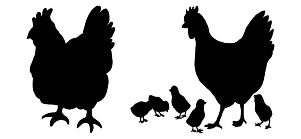 Set Birds Vector Illustration Black Hen White Background — Stock Vector