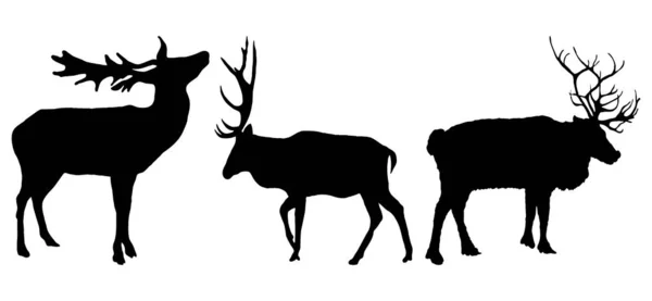 Vector Animal Illustration Black Deer White Background — Stock Vector