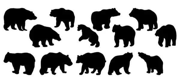 Векторная Иллюстрация Животных Черный Медведь Белом Фоне — стоковый вектор