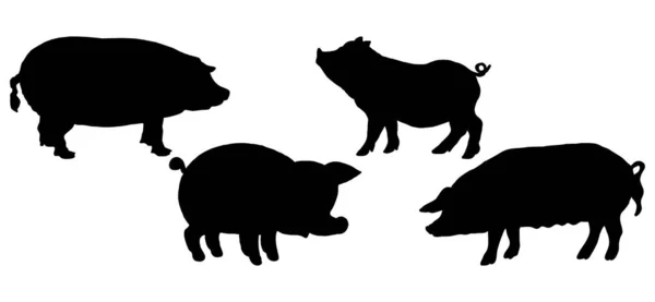 Vector Animal Illustration Black Pig White Background — Stock Vector