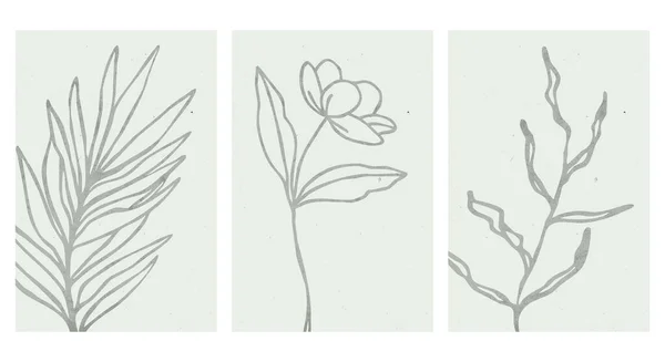 現代美術ポスターコレクション 植物壁アート カバー ソーシャルメディアのためのデザイン イラストの植物 ヴィンテージ — ストックベクタ