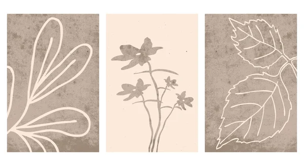 16,475,448 Botanical etchings Vector Images | Depositphotos