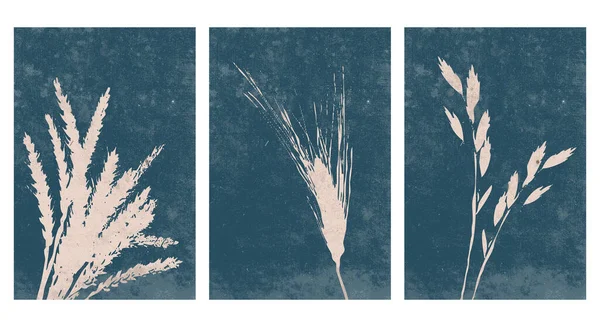 当代艺术海报收藏 植物墙艺术 平面设计 社交媒体 插图中的植物 — 图库矢量图片