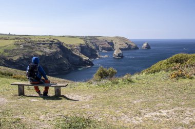 Adam sırtı dönük bir şekilde bankta oturuyor, dümdüz ileriye bakıyor. Cornwall, Boscastle, İngiltere 'de güzel okyanus manzarası.