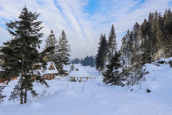 Друкарська Ілюстрація Полотні Зимовий Пейзаж Польських Горах Гори Татра Закопаний — стокове фото