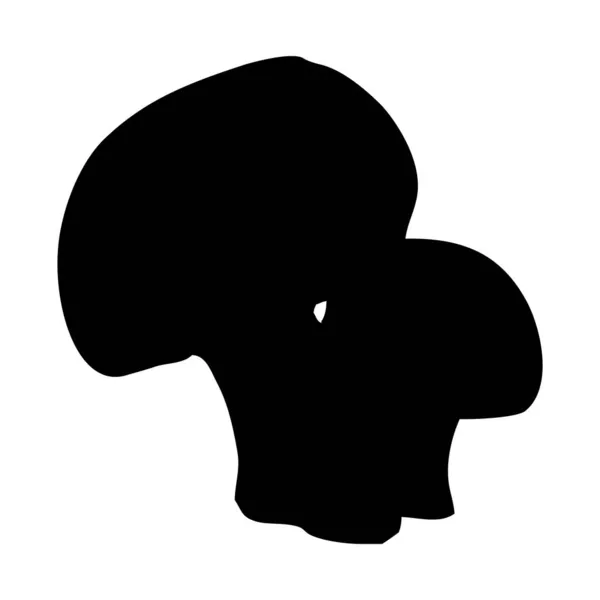 Botanical Illustration Black Mushroom White Background — Stock Photo, Image