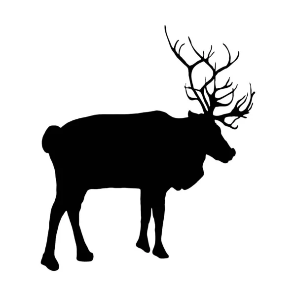 Ilustração Animal Vetorial Silhueta Preta Cervo Fundo Branco —  Vetores de Stock