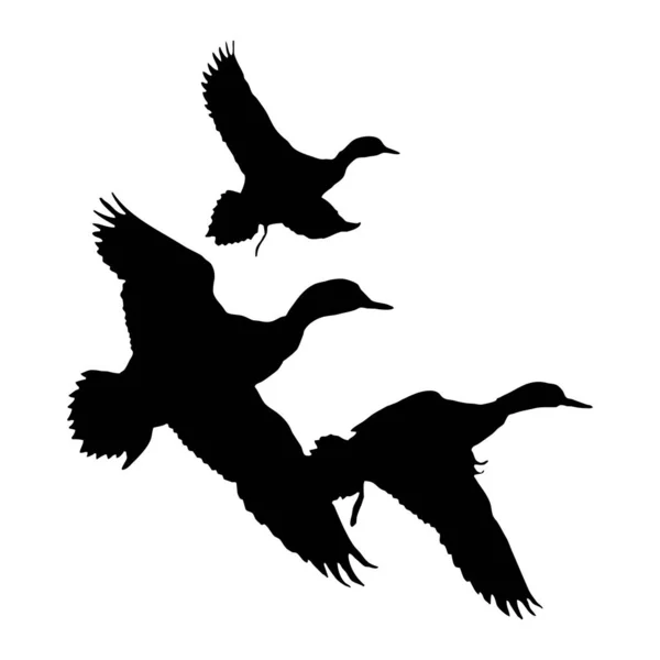 Векторная Иллюстрация Птиц Черный Силуэт Утки Белом Фоне — стоковый вектор