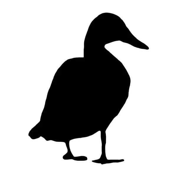 Vektorillustration Von Vögeln Schwarze Silhouette Einer Ente Auf Weißem Hintergrund — Stockvektor