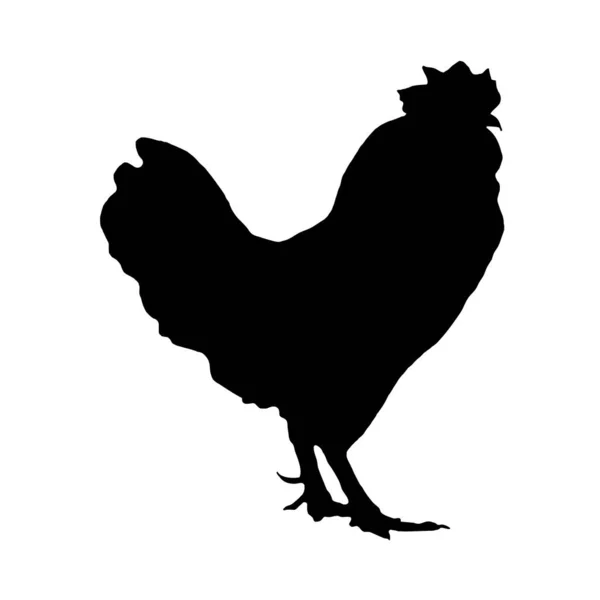 Vektorillustration Von Vögeln Schwarze Silhouette Eines Hahns Auf Weißem Hintergrund — Stockvektor